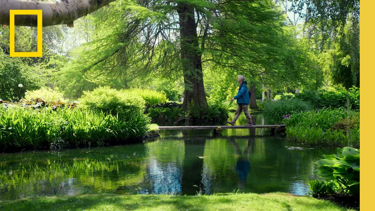 Exploring Regenerative Farming Practices at Waitrose Farms | National Geographic