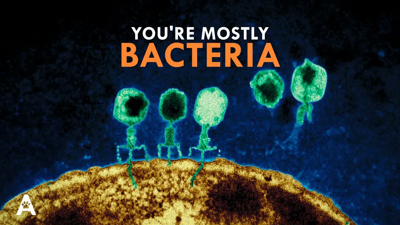 Your Gut Has More Genes Than the Rest of You Combined