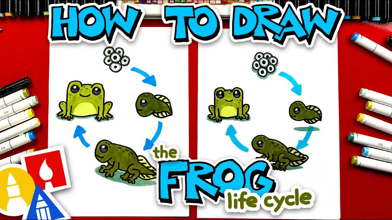 How To Draw The Frog Life Cycle