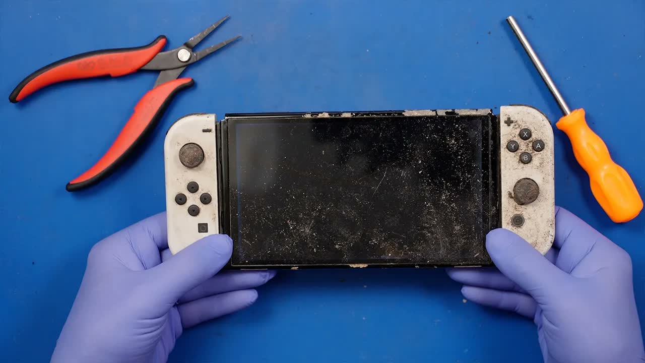 Nintendo Switch Lost Outside for a YEAR! It Was BAD Inside!
