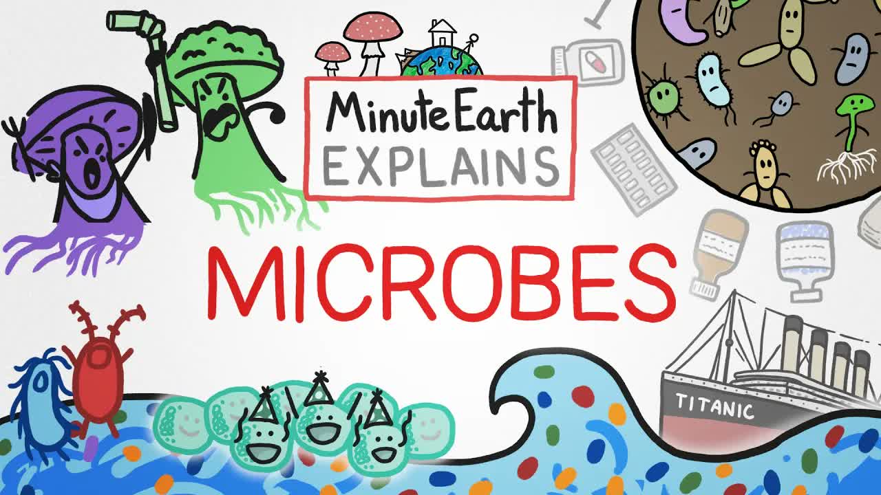 MinuteEarth Explains: Microbes