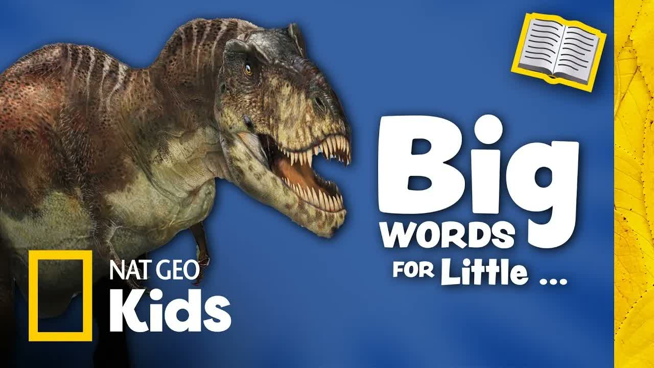 Big Words for Little Paleontologists Book Read-Along📚 | Dinosaurs, Fossils, & More!🦖🦴| @natgeokids
