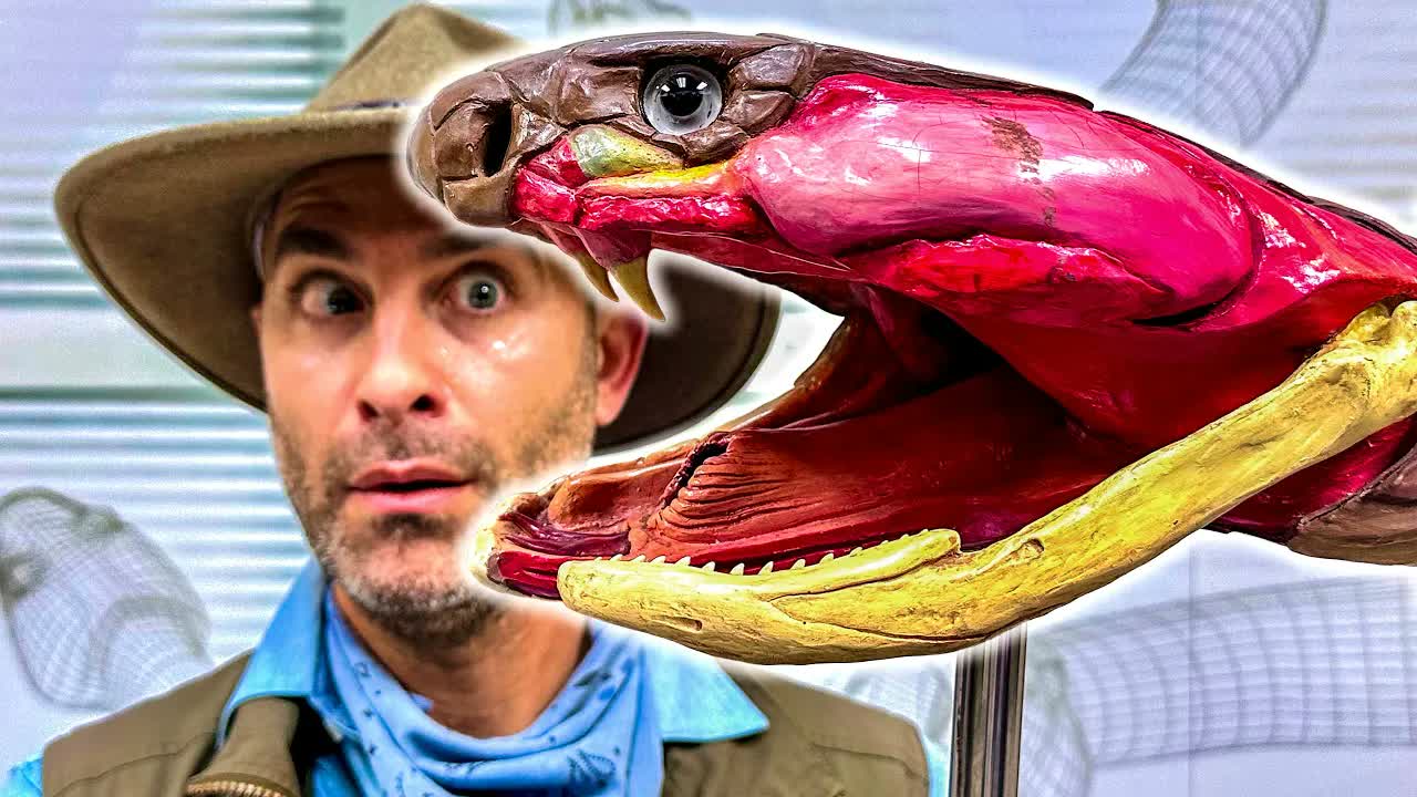 King Cobra - World's Deadliest Venom Milking!