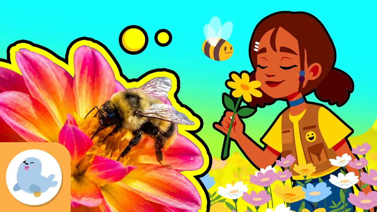 POLLINATION and BEES for Kids 🐝 🌸
