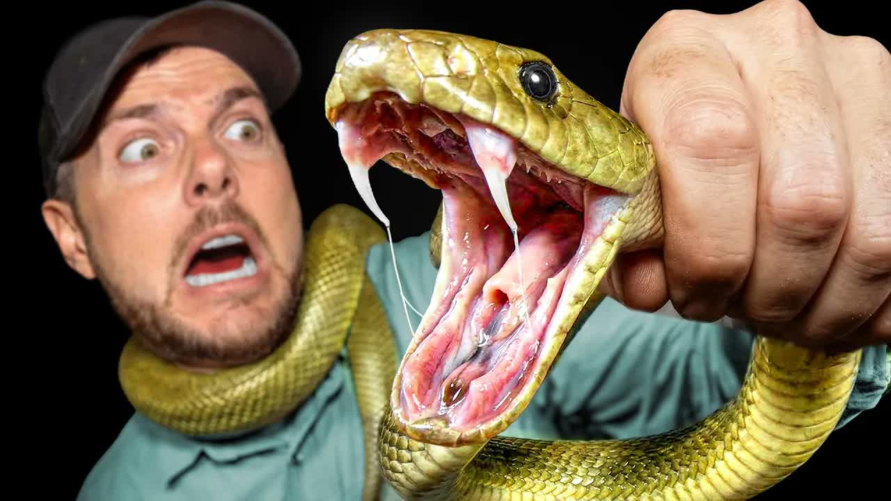 Catching Most Dangerous Animal in Australia!