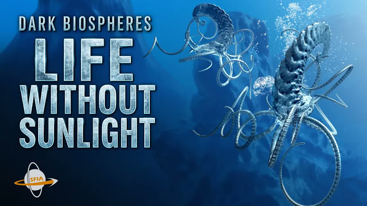 Dark Biospheres - Life on Worlds Without Sunlight