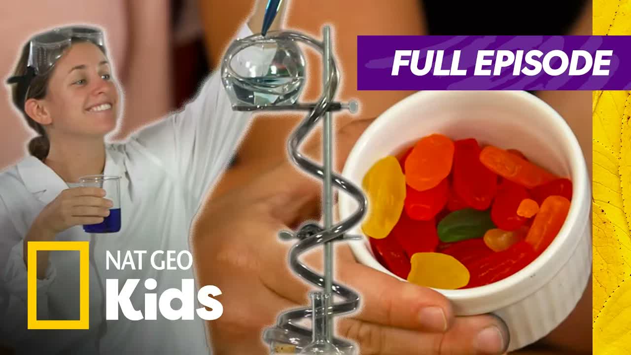 Weird But True Full Episode | The Science Behind Your Senses! | Nat Geo Kids