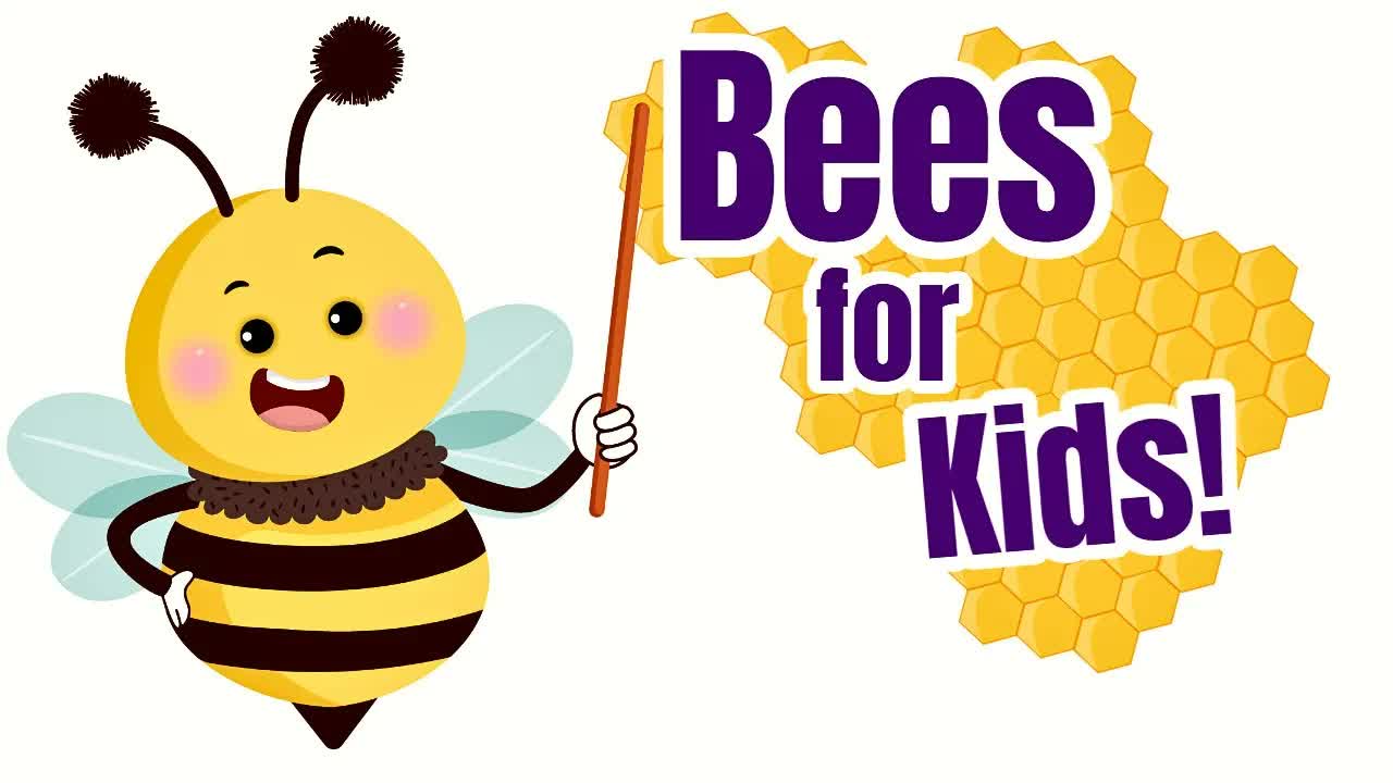 Bees for Kids | Fun Bee Facts