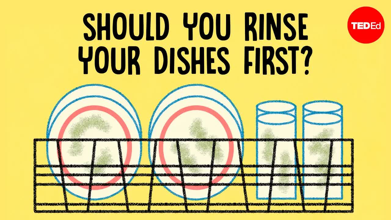 Should you rinse your dishes before placing them in the dishwasher? - Rachel Yang