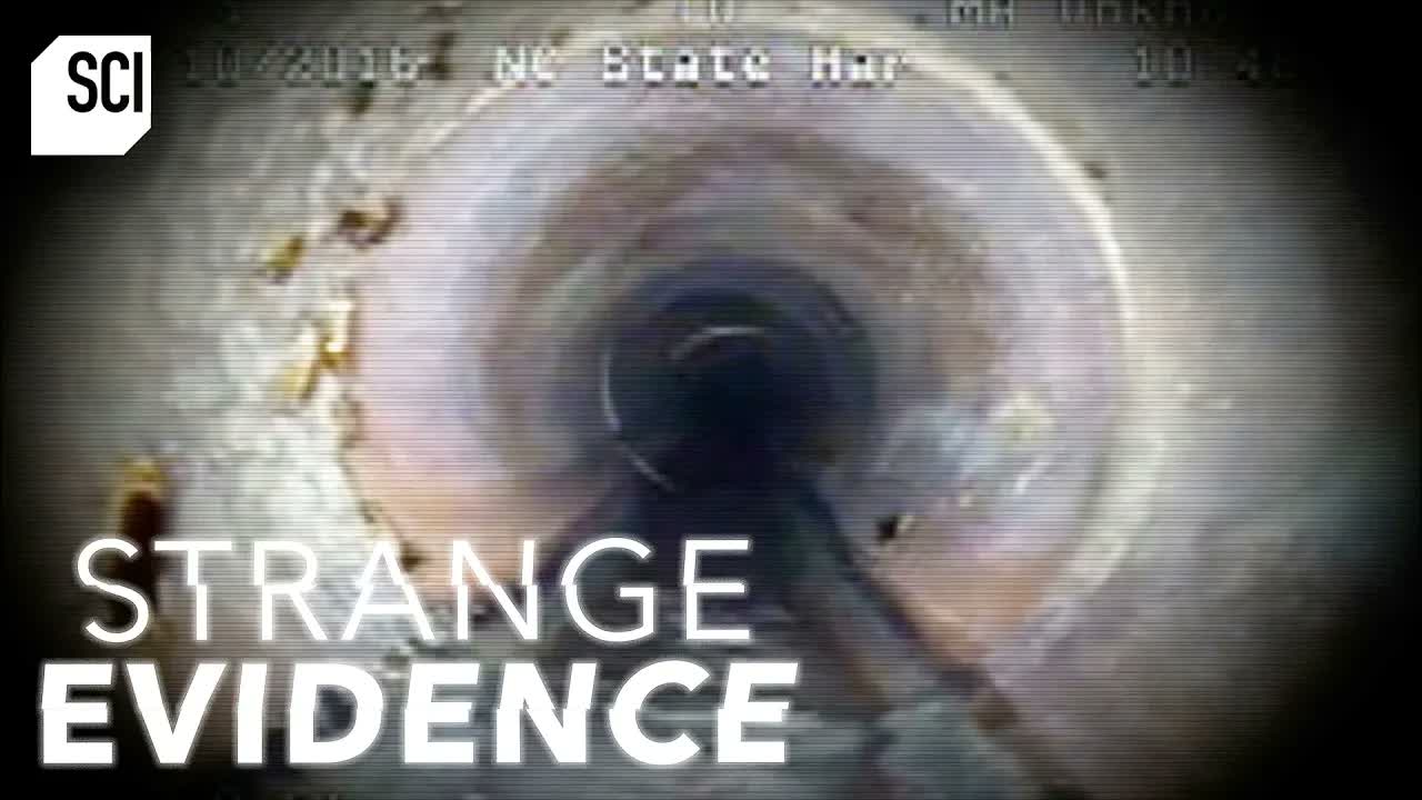 Alien Creature Found in the Sewers of Raleigh North Carolina | Strange Evidence | Science Channel