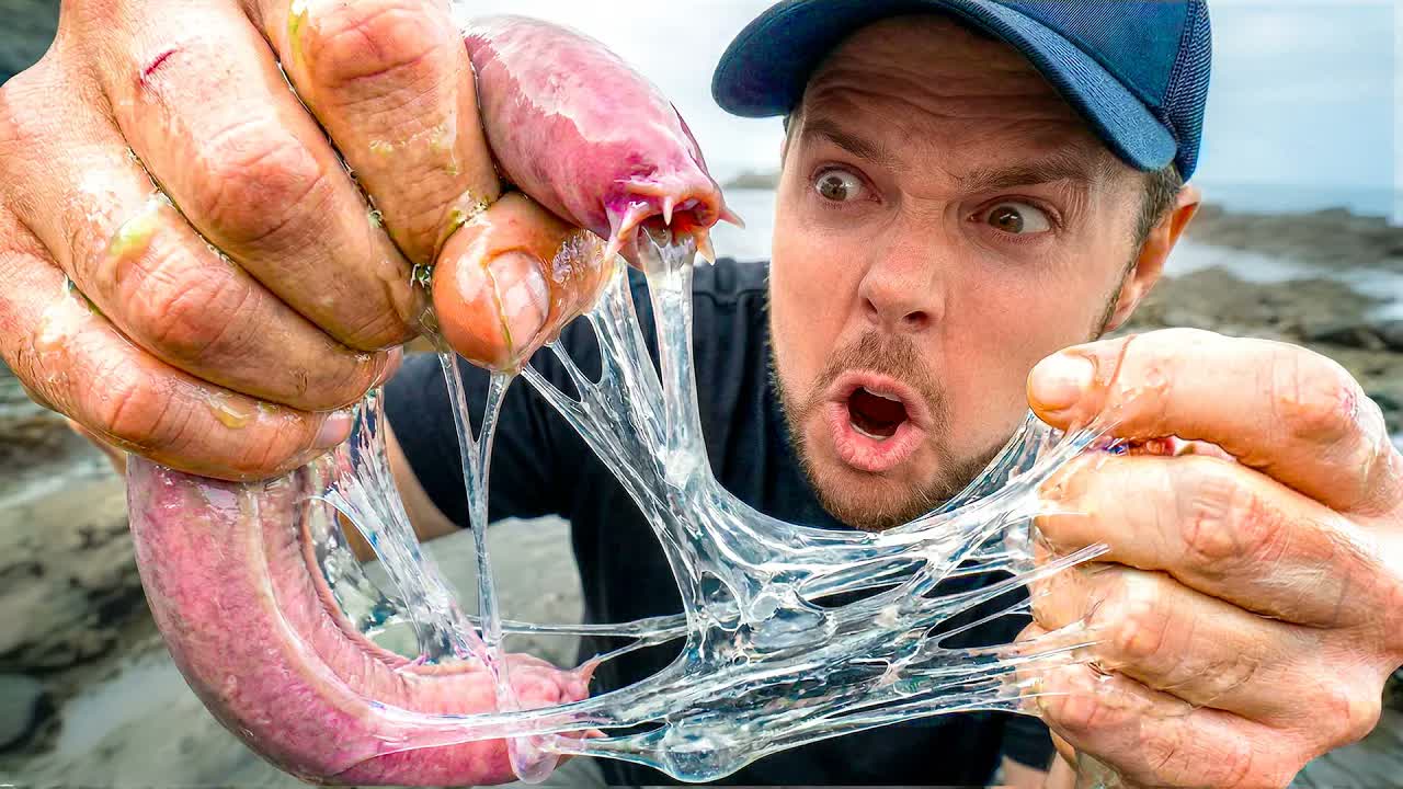 SLIMED! Up close with the Slimiest Creatures on Earth!