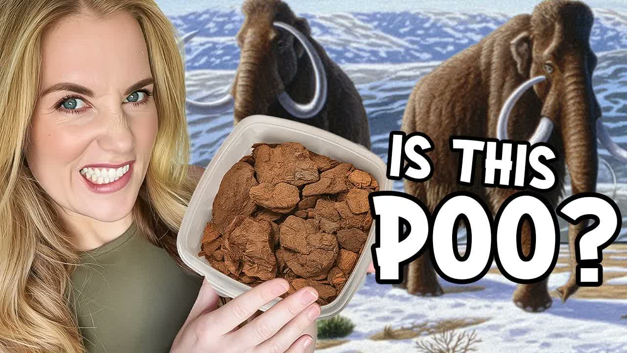 What do you know about WOOLLY MAMMOTHS? | Mystery Unboxing with Maddie