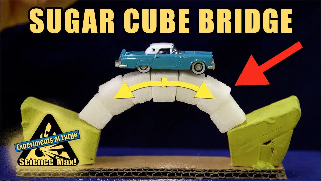 How to Make a Sugar Cube Bridge | Home Science Experiments | Science Max