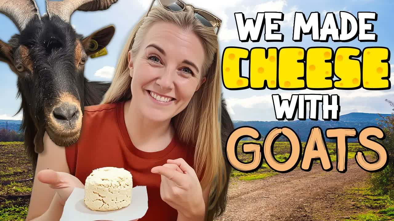 How is goat's CHEESE made? | Maddie Moate