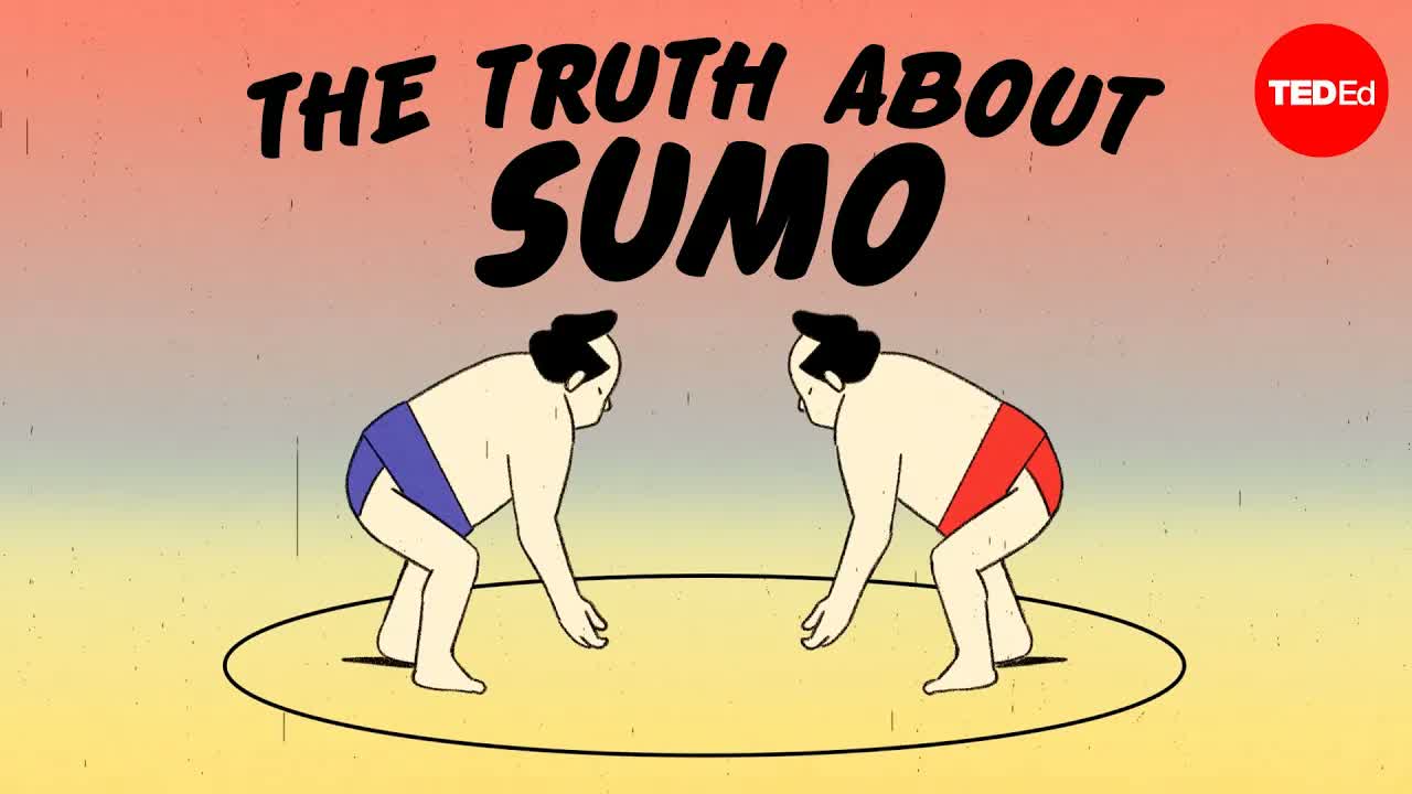 What is sumo, and why is it so popular? - Lee Thompson