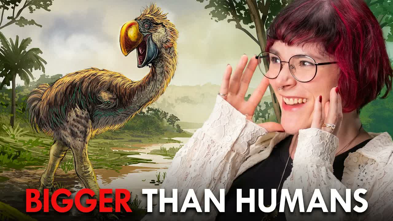The Most Terrifying Animal In Australia Was A Duck