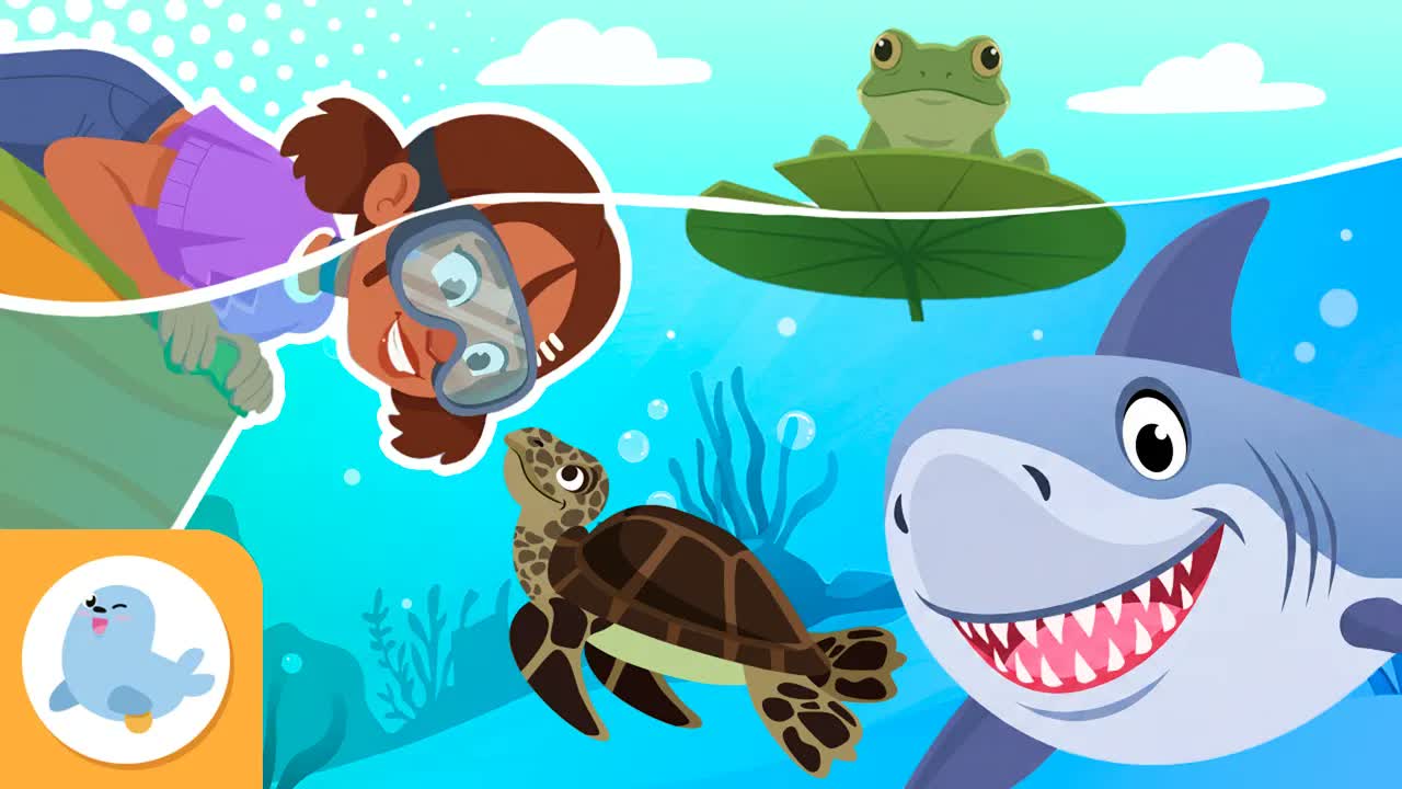 AQUATIC HABITATS and Their Animals for Kids 🌊🐋 Rivers, Lakes, and Oceans