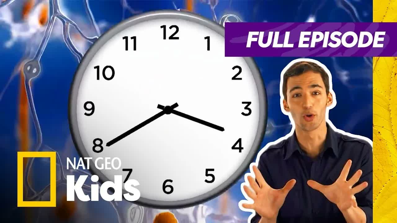Is Time Even Real?! ⏰ | Brain Games Full Episode | Nat Geo Kids