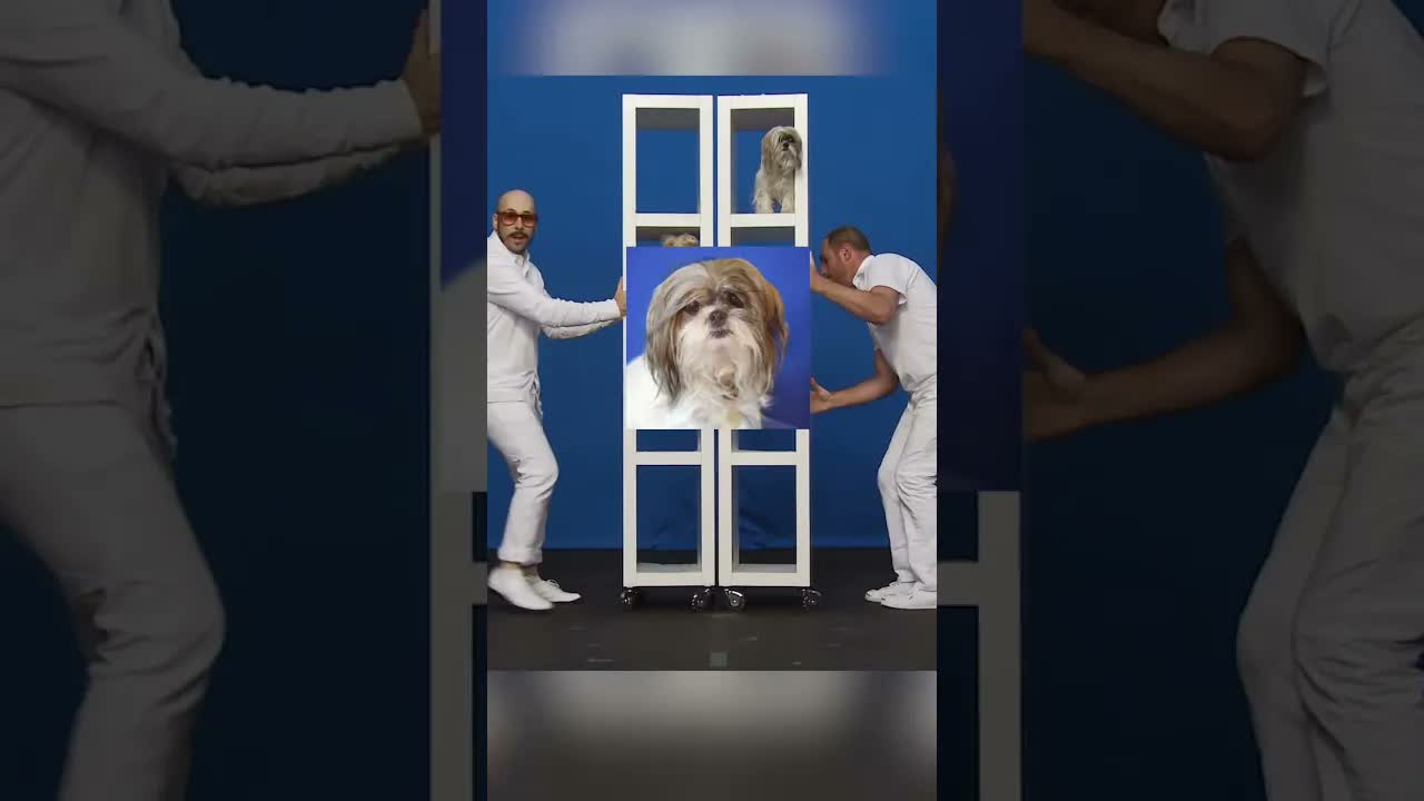What You DIDN'T Know About the White Knuckles Music Video - OK Go