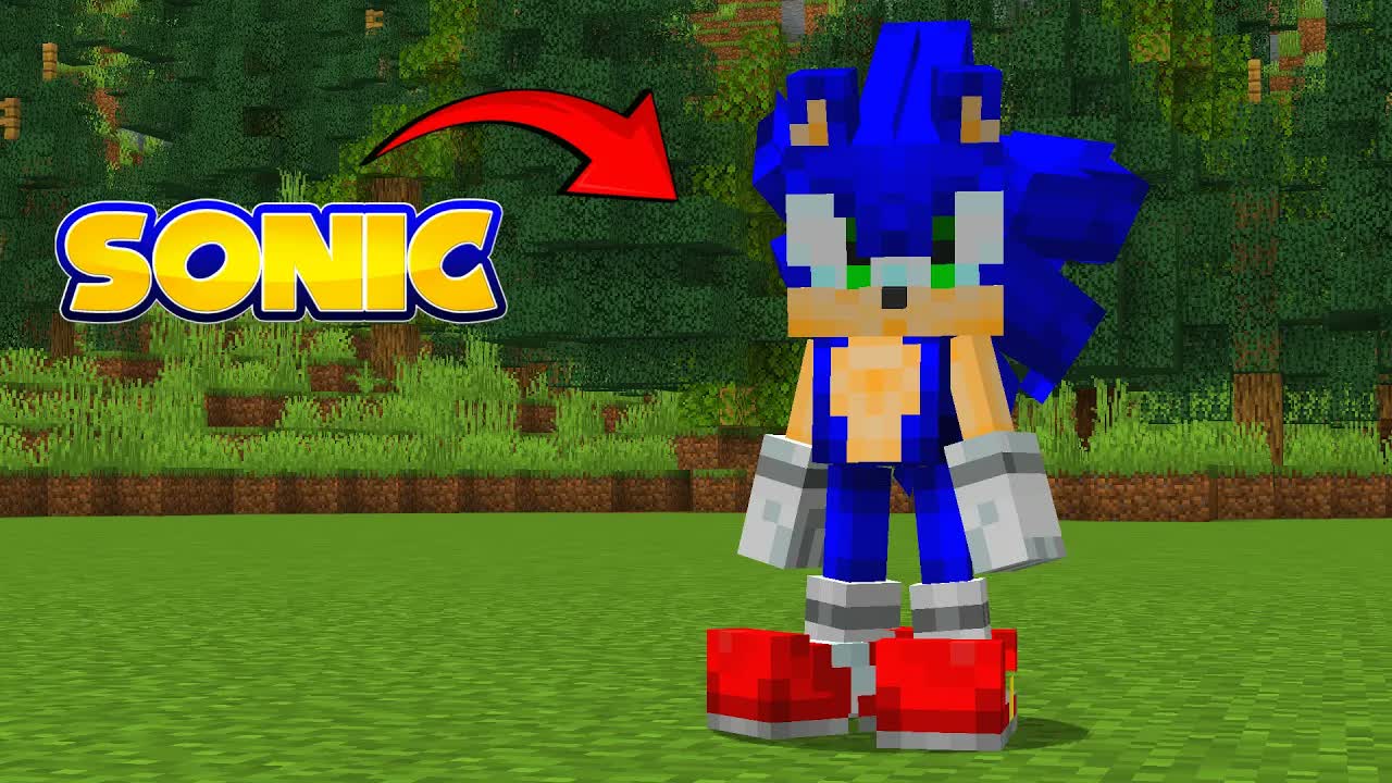 Sonic JOINED my World in Minecraft!