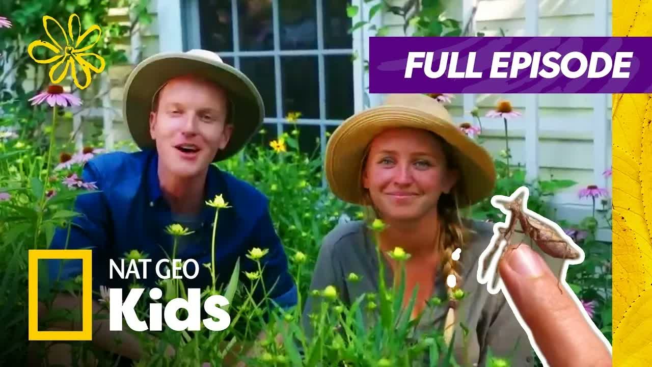 Bugs Rule! 🐛🦋🪲 | Weird But True Full Episode | @natgeokids