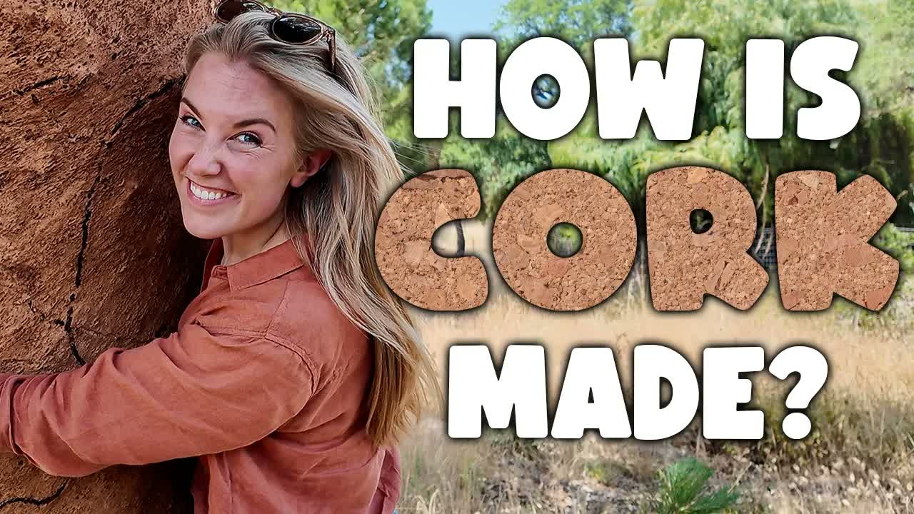 Why Cork is the World's BEST material! | Maddie Moate
