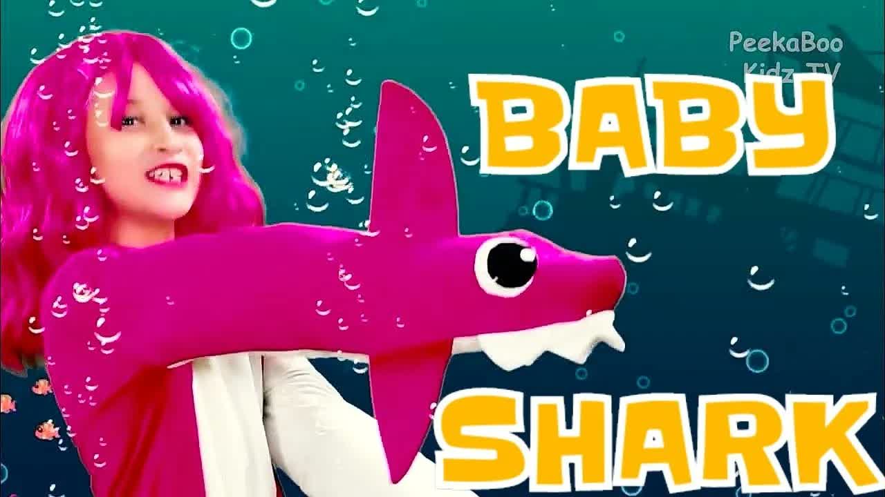 Baby Shark | Kids Songs and Nursery Rhymes | Animal Songs from Peekaboo Kidz