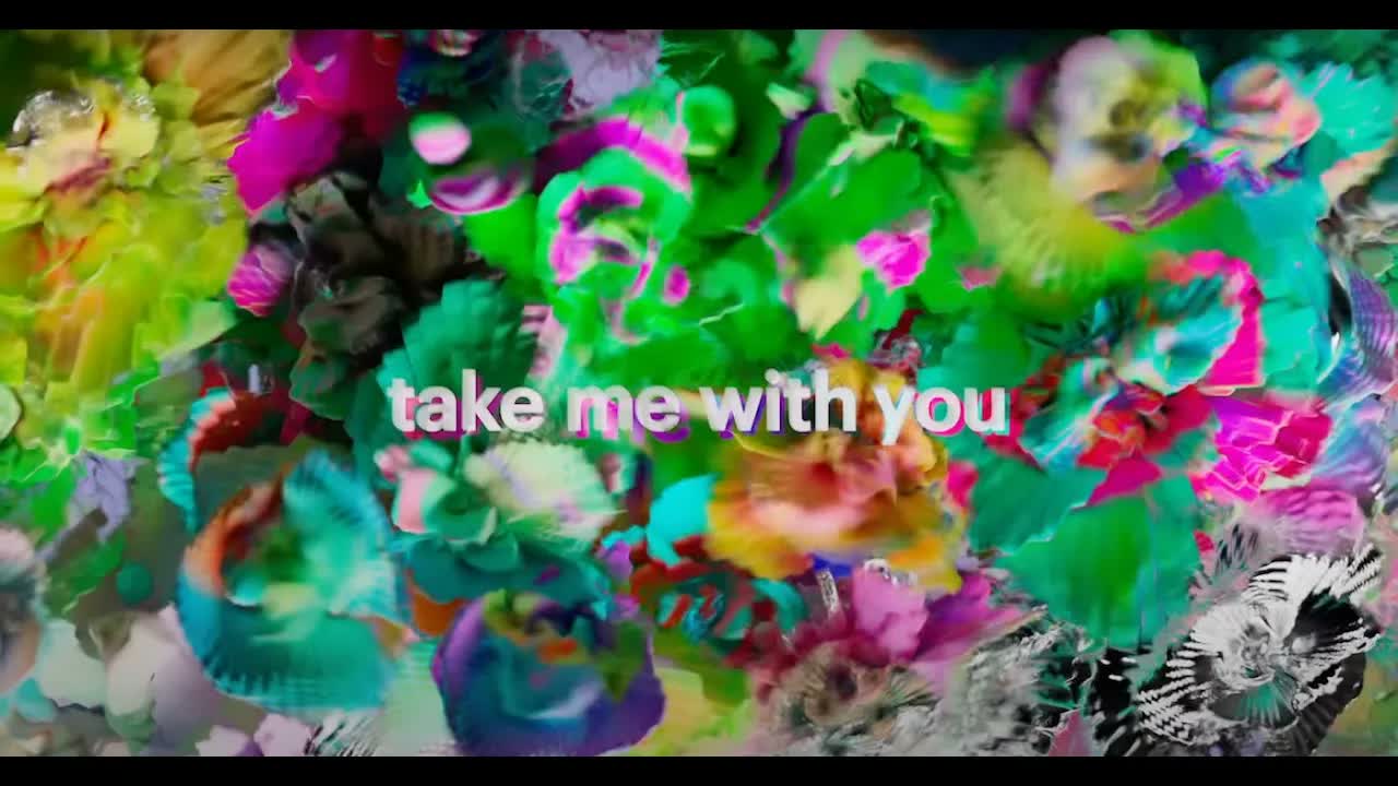 OK Go - Take Me with You (Official Visualizer by David McLeod)