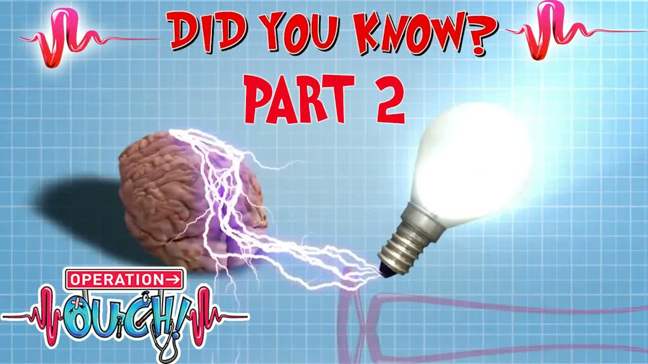 DID YOU KNOW? 🧠 | The Amazing Human Body - PART 2 | Science for Kids |  @Operation Ouch