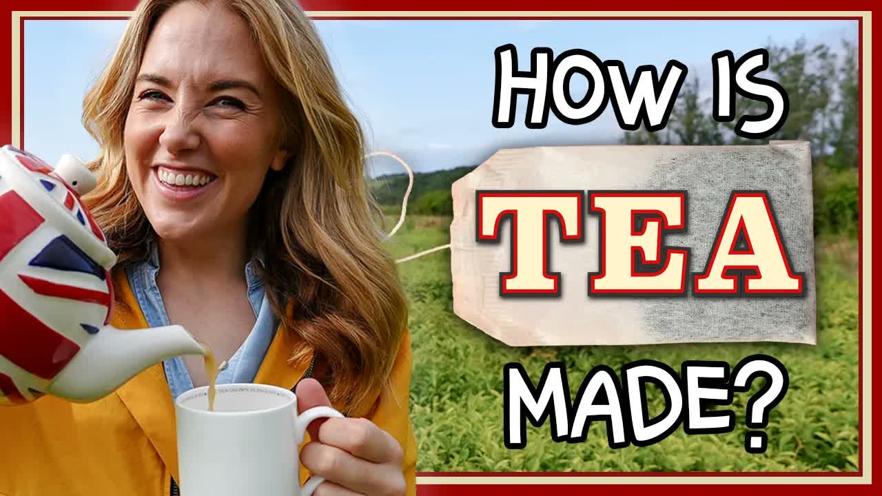 Inside England's ONLY tea factory! | How is it made? with Maddie Moate