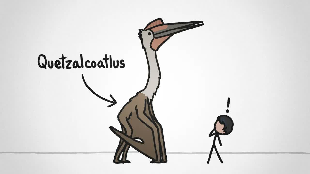 Could This Thing *Really* Fly?