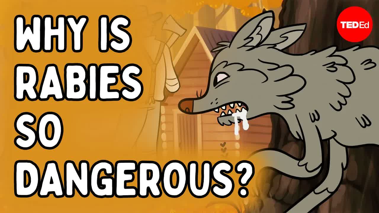 Why is getting bitten by a rabid animal so dangerous? - Charles Rupprecht