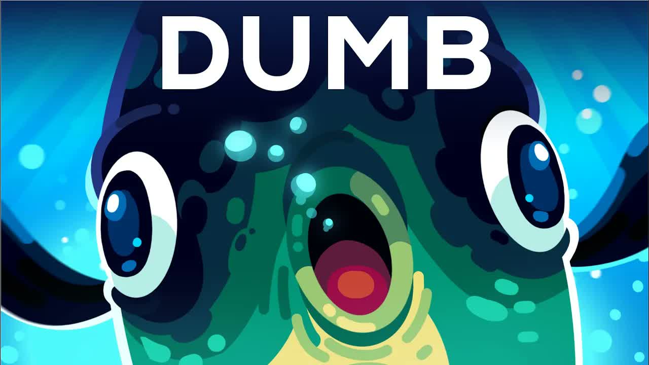 The Dumbest Animal Alive