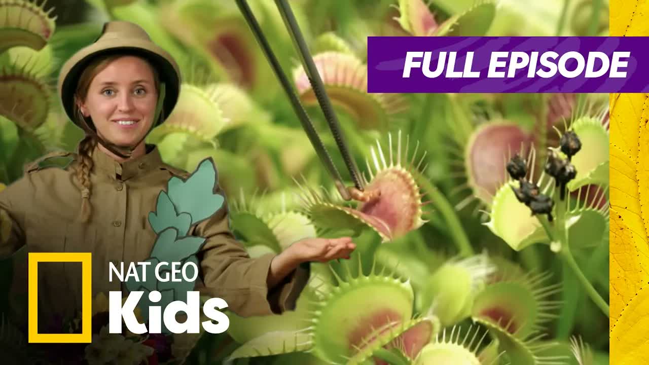 Weird But True Full Episode | Plants, Plants Everywhere🪴🌱 | Nat Geo Kids