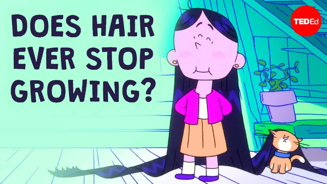 How long can hair grow? - Maksim Plikus