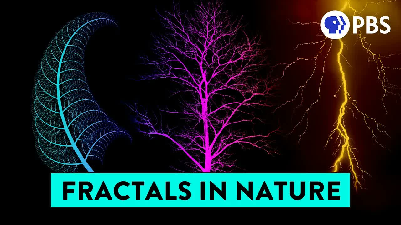 Why trees look like rivers and also blood vessels and also lightning…