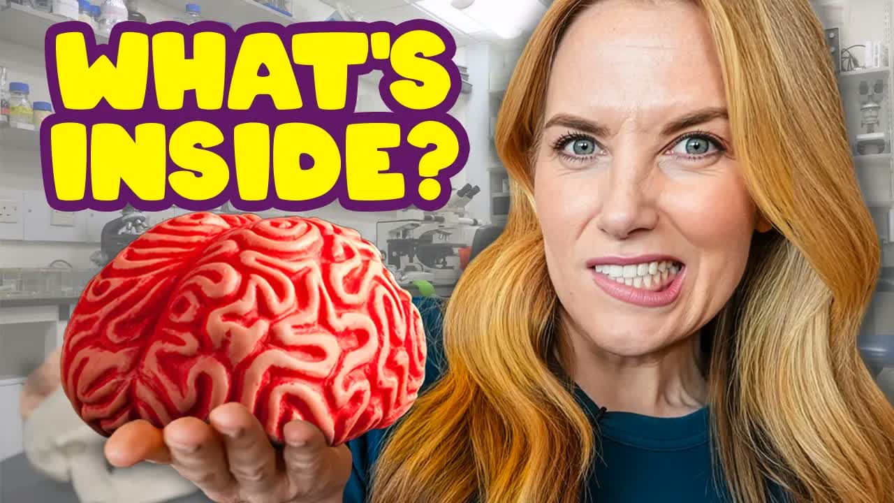Dissect a BRAIN with me! 🧠 What Makes Us Smart? | Maddie Moate