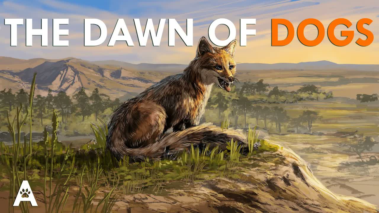 Dogs Almost Went Extinct And Were Saved By This Underdog
