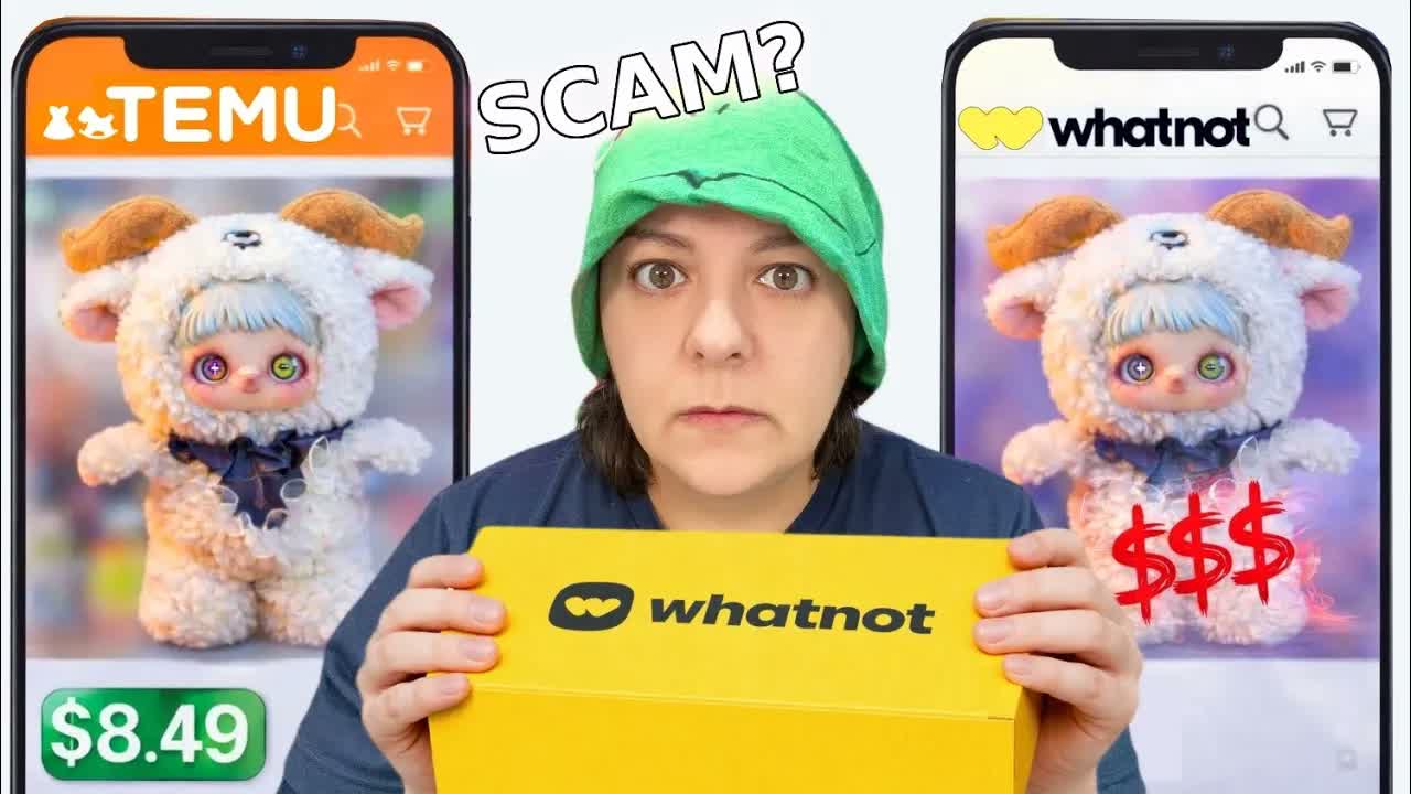 Are Whatnot Mystery Boxes A Scam? Let’s find out