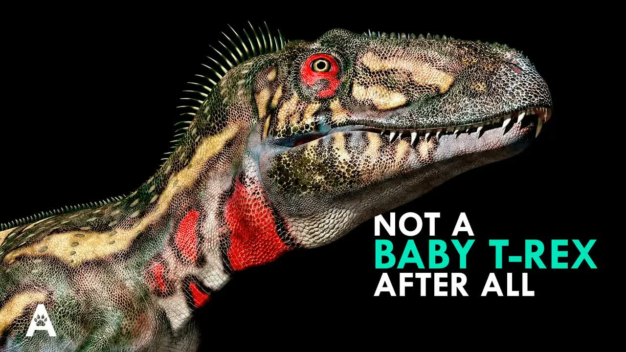 Nanotyrannus Was Never a Baby T-Rex — 2025 Just Proved It