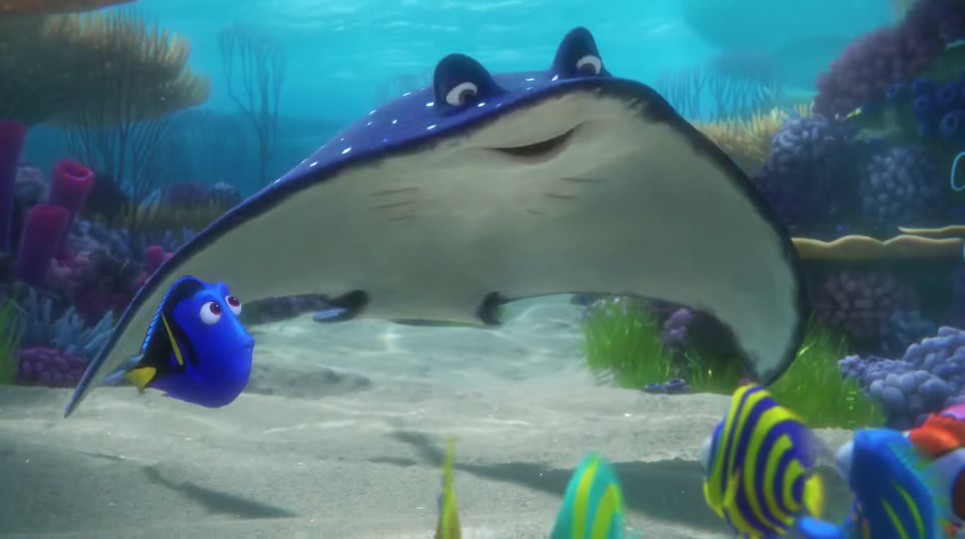 Finding Dory