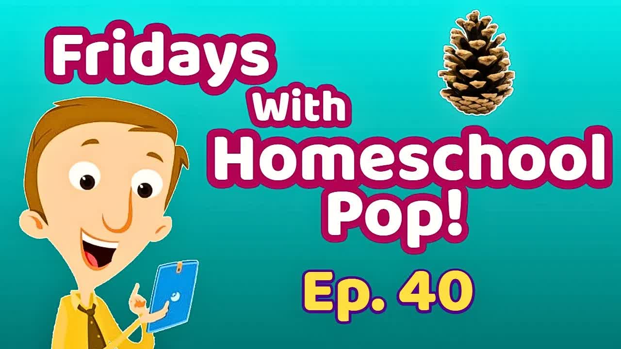 How Do Pine Cones Help Grow New Trees?