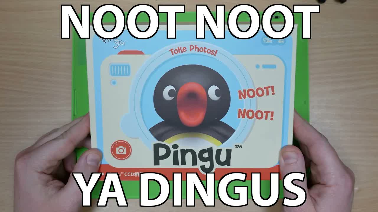 Pingu has entered the chat 🐧