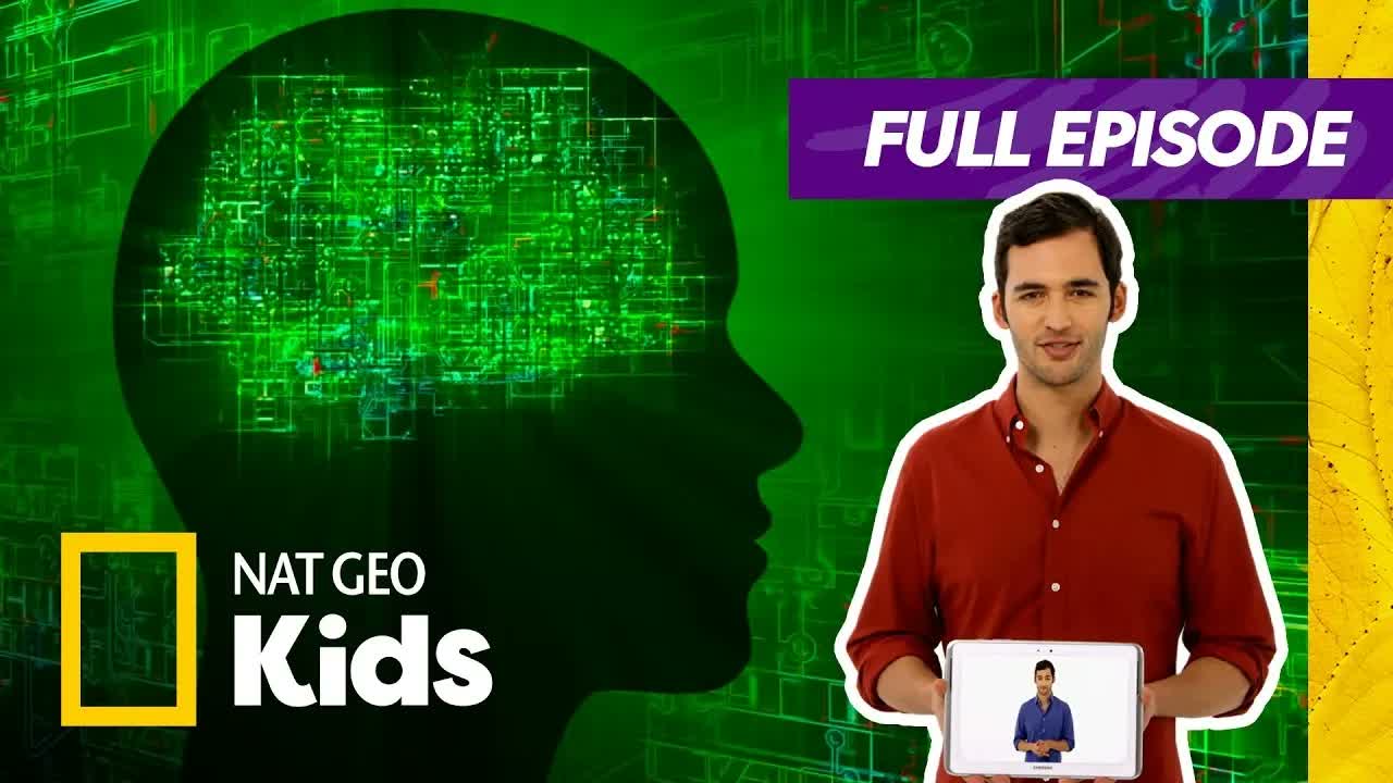 Boost Your Brain this School Year! 🧠💪 | Brain Games Full Episode | Nat Geo Kids