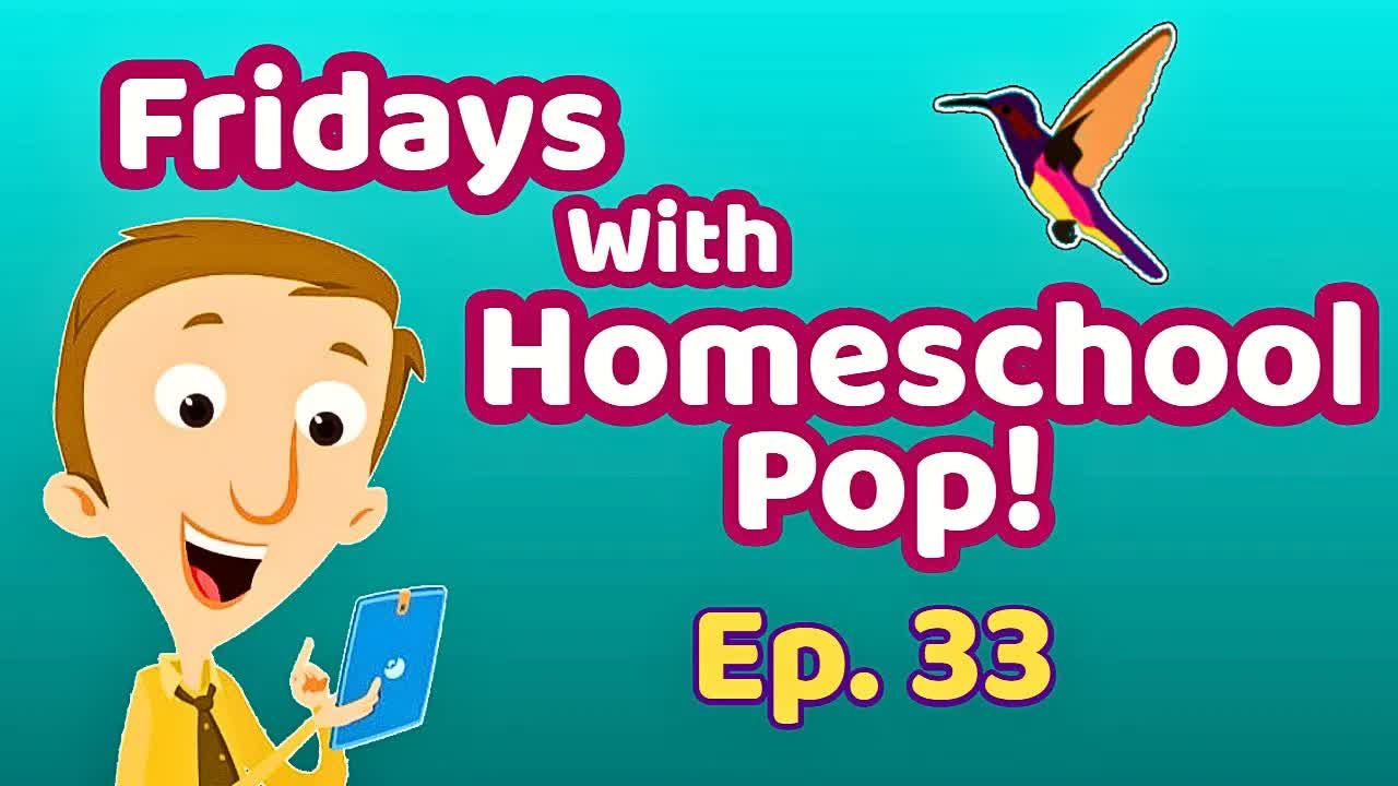 Hummingbirds Can Fly Backwards?!