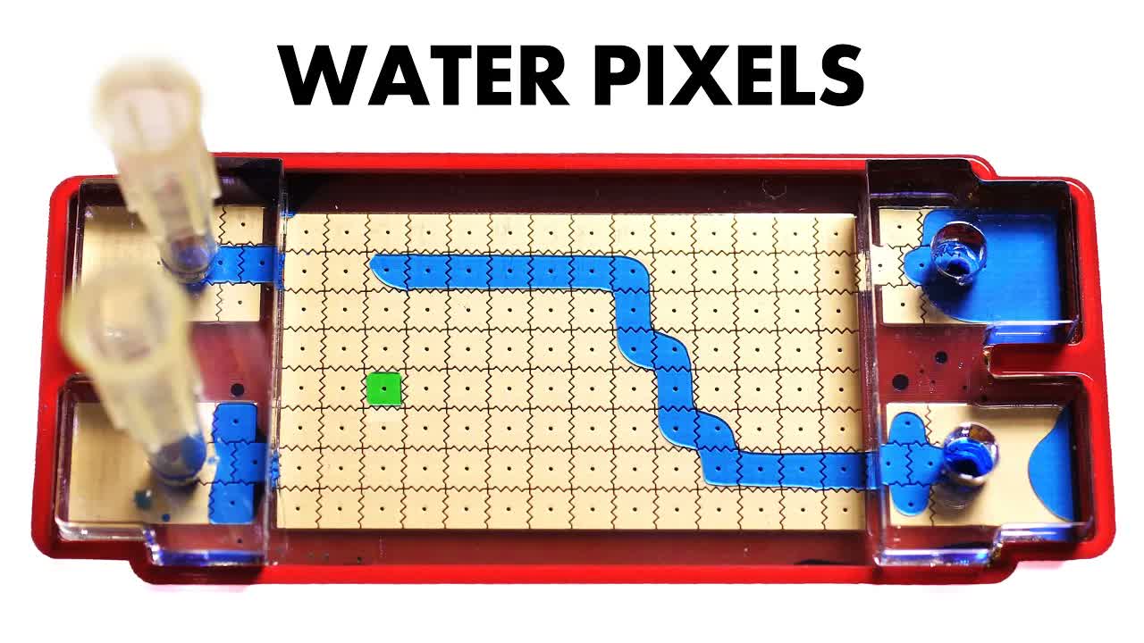 I Played Snake With Water