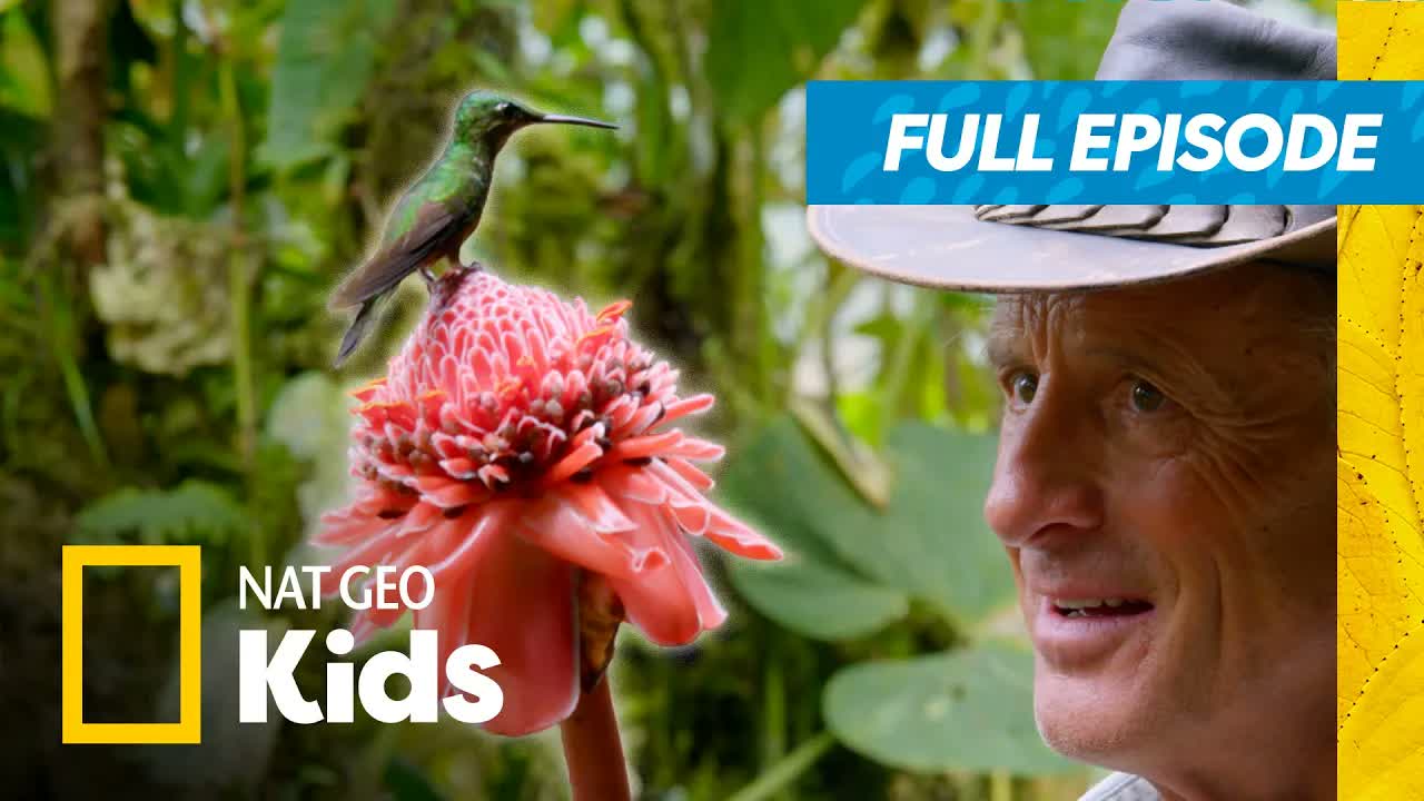 Jack Hanna's Passport Full Episode | Colors of the World 🌎 | Nat Geo Kids