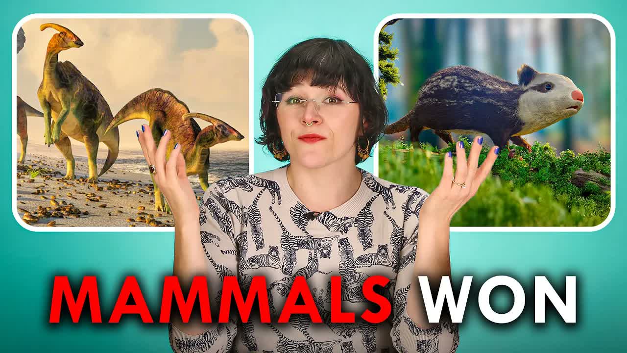 Why Did Mammals Beat Dinos?