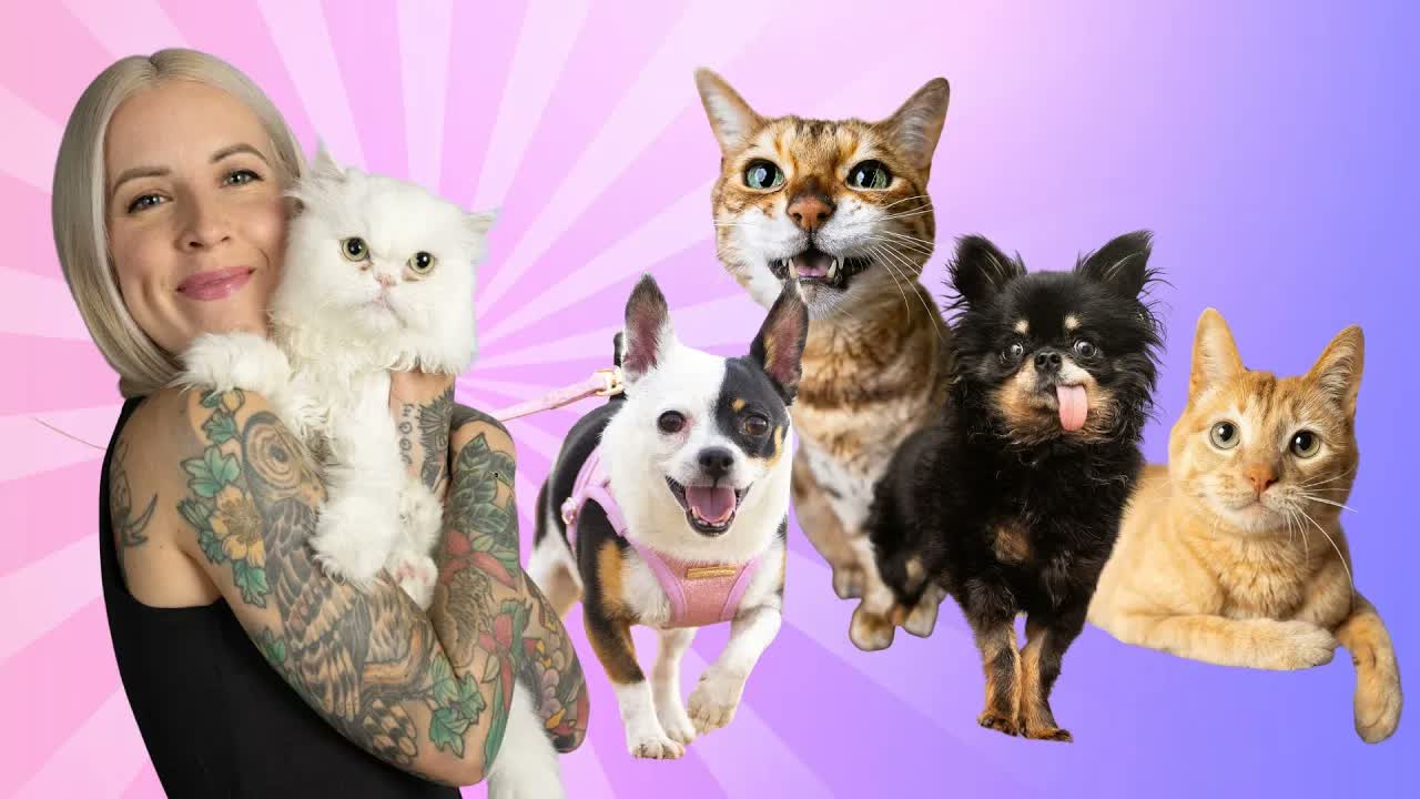 Meet My Resident Animals