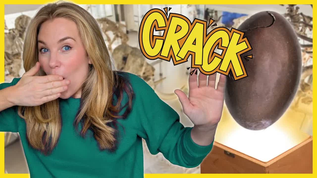 How did Darwin BREAK this egg? | Mystery Unboxing with Maddie